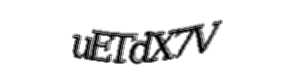 Security check image, please type the characters shown